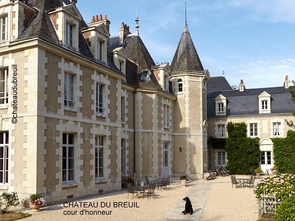 Chateau Du Breuil Cheverny Exterior photo