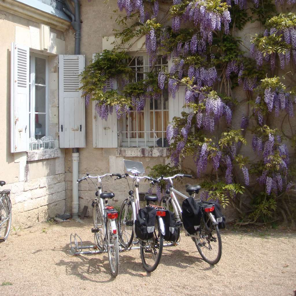 Chateau Du Breuil Cheverny Exterior photo